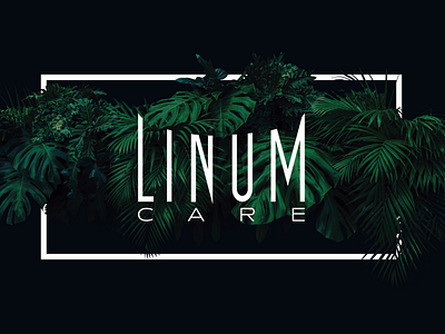 Linum Care Logo & Visual Exploration