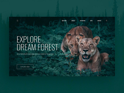 Forest adventure landing page ui design