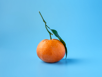 Orange Modelling 2d 3d abstract android animation branding fruit graphic design illustration logo motion graphics ui