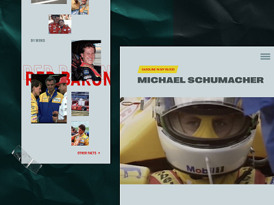 Schumacher web site animation branding challenge design landing product design race typography ui uiux ux webdesign website