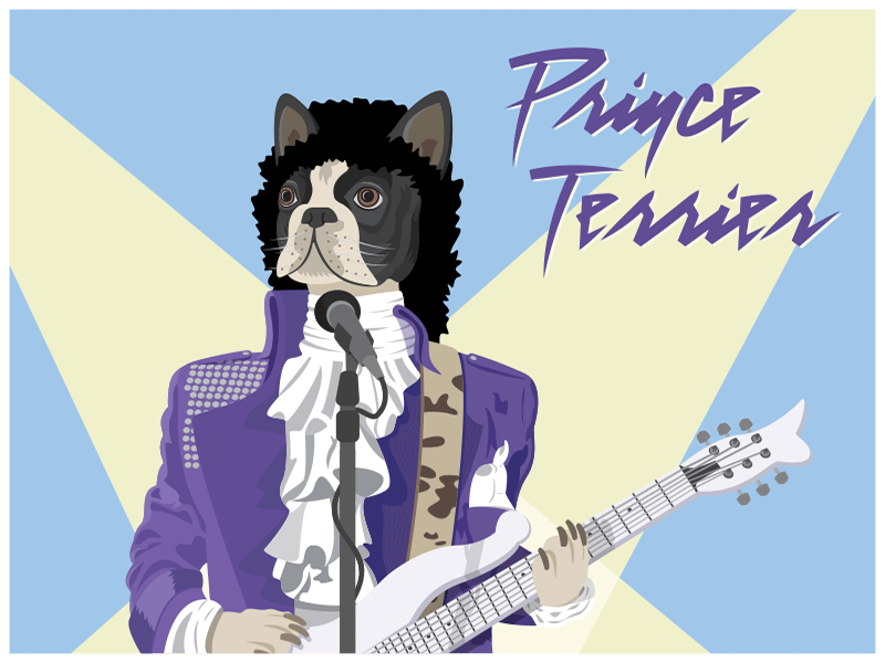 Prince Terrier boston terrier cartooning character design digital art dog flat graphic guitar icon illustration legend music icon purple rain