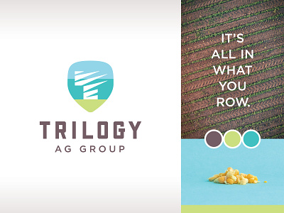 Trilogy Ag Group agriculture badge branding corn crops farming icon identity lockup logo shield trilogy