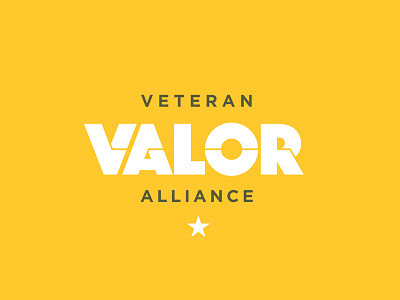 Valor alliance army dog tags lock up logo military mission star type vet veteran