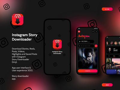 Instagram Story Downloader App Design