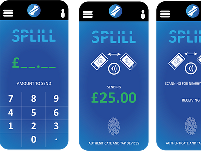 App Interface Wireframes