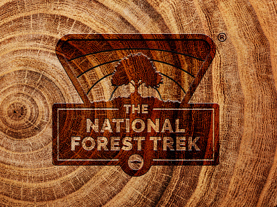 National Forest Trek brand forest illustrator logo