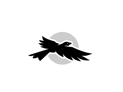 Above bird bird illustration bird logo hawk hawk logo