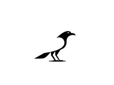Raven bird bird logo crow crow logo raven raven logo