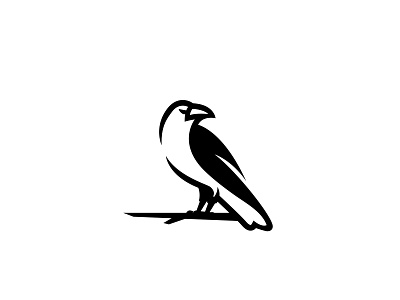 Crow bird bird logo crow crow logo raven raven logo