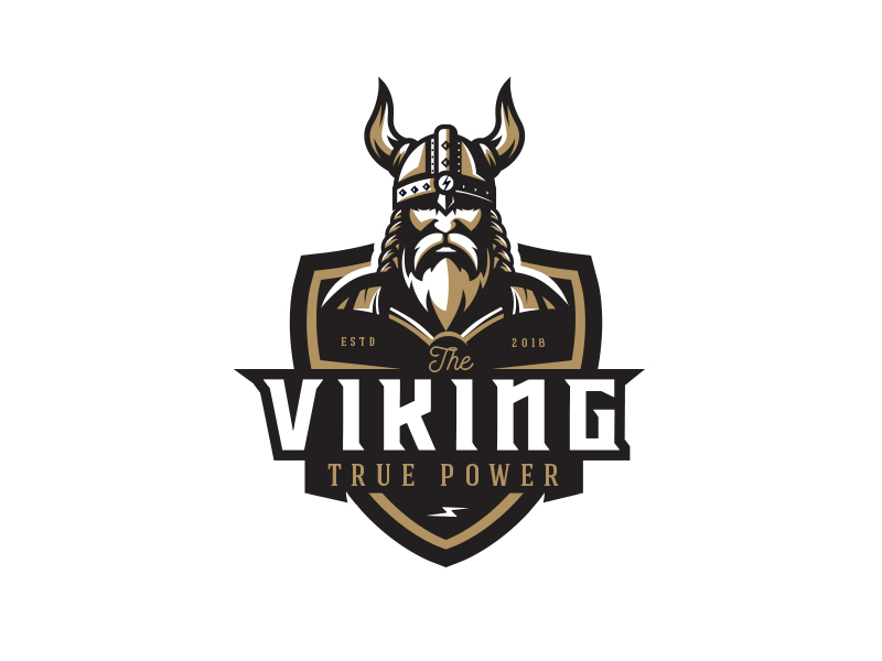 Viking by Alex Seciu on Dribbble