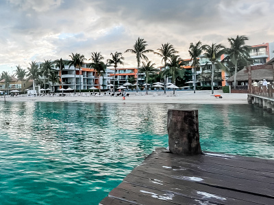 Cozumel Mexico Ocean dock mexico ocean palmtrees picture