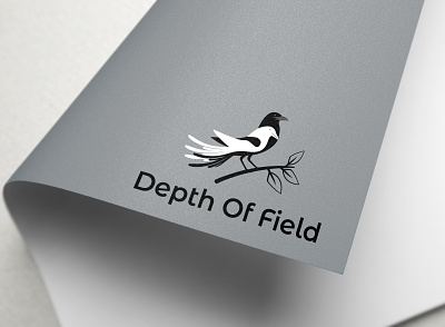 DEPTH OF FIELD 3d animation branding design graphic design illustration logo logo design motion graphics ui