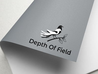 DEPTH OF FIELD