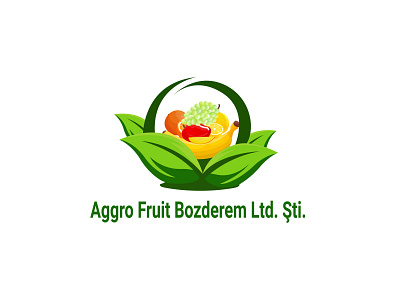 Aggro Fruit Bozderem Ltd. 3d animation branding design graphic design illustration logo logo design motion graphics ui