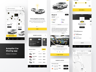Tesla -  Car Sharing App
