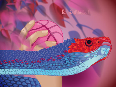 My dribbble genesis animal apple art basketball church concept debut dribbble illustration illustrator pink snake