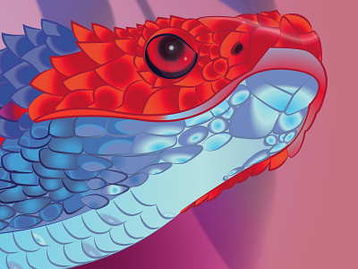 Snake head animal art character color colorful design drawing eye gradient illustration illustrator nature