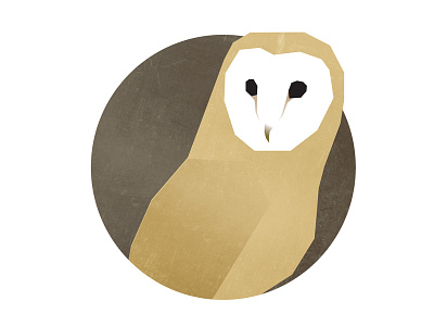 Owl minimal owl