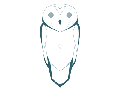 Processing Owl coding geometric owl processing