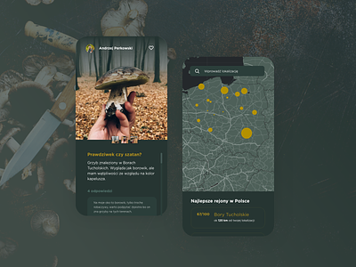 Forester - app concept app autumn boletus forest mushrooms social