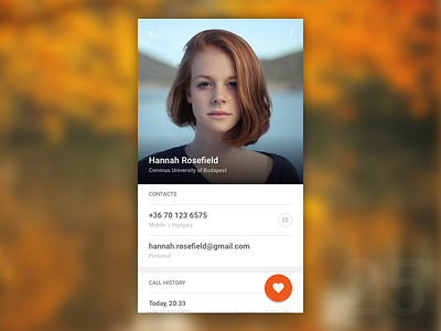 Day 25 - Contact Profile Screen 100dayuichallenge autumn contact profile
