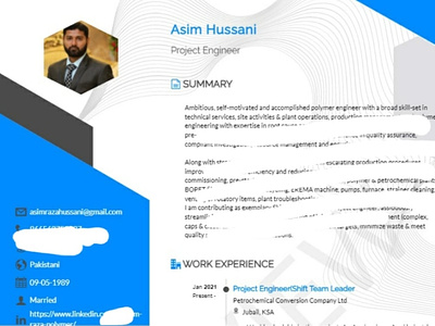 Professional CV cv design engineering cv linkedin profile optiization professional cv resume