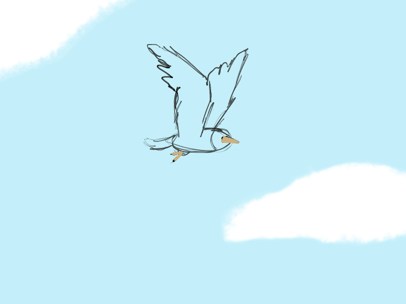 Bird study • Day28 • 365 Days of Motion 365 daily challenge 365 days of motion 365challenge animal animation bird cloud hungary illustration marine motion nature rough animator rough sketch roughanimator sea seagull sky skyblue study