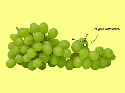 Editorial graphic: dealing with clients 07 blog graphic characters cute editorial expression fruit funny grapes puns stick art stick figures