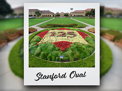 Stanford's 125th Anniversary logo in flowers branding logo photo