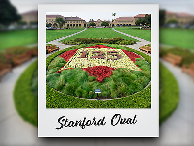 Stanford's 125th Anniversary logo in flowers