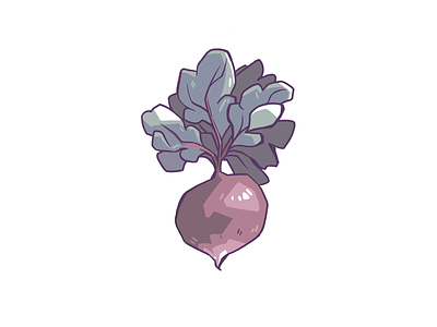 Turnip 03 illustration procreate turnip vegetable