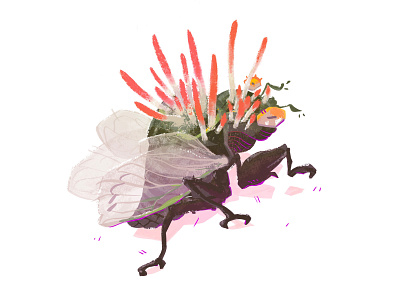 I want to climb cicada cordyceps illustration procreate