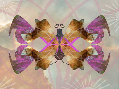 Psychedelic Symmetry Moth graphic design insect art moth art symmetry art symmetry moth