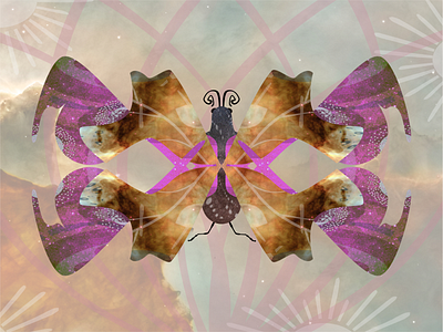 Psychedelic Symmetry Moth