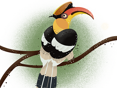 hornbill graphic design illustration procreate ui