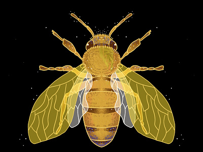 bee graphic design illustration procreate ui