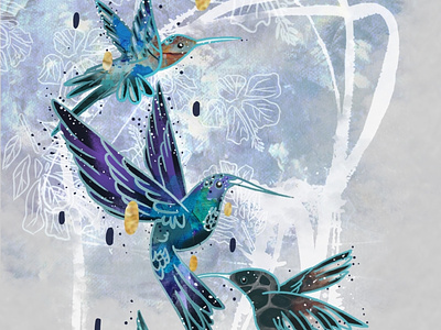hummingbird graphic design illustration procreate ui