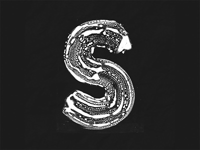 Letter S 36 days of type calligraphy font letter lettering logotype s type
