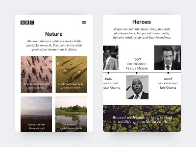 Botswana botswana card clean interface jungle minimal mobile results search travel travel card ui