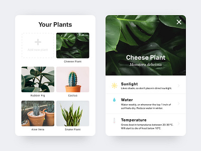Plant Card add new app card clean icons interface minimal mobile plant plants ui ux
