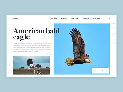 landing Page Explore clean design explore layout minimal typography ui ux web website