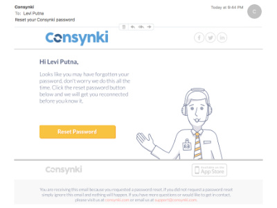 Consynki Reset Password Email email password