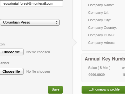 CRM - Edit Company & Organization Screen button company crm green input list select
