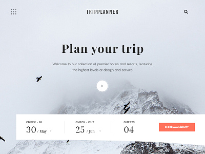 Plan Your Trip travel travel ui travel web travel web design ui design ux design web ui