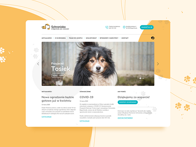 Dog Rescue - Boguchwała colours design dogs landing page logo paws product tablet ui ux webapp website yellow
