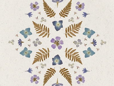 Pressed Posies botanical flowers pattern pressed