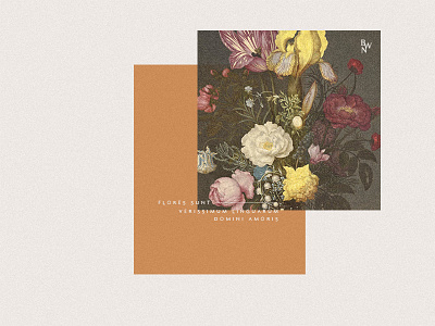 BWN baroque brand branding dutch golden age dutch masters floral floral studio florist flowers latin logo painting