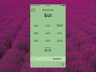 Adding funds to lunch money app