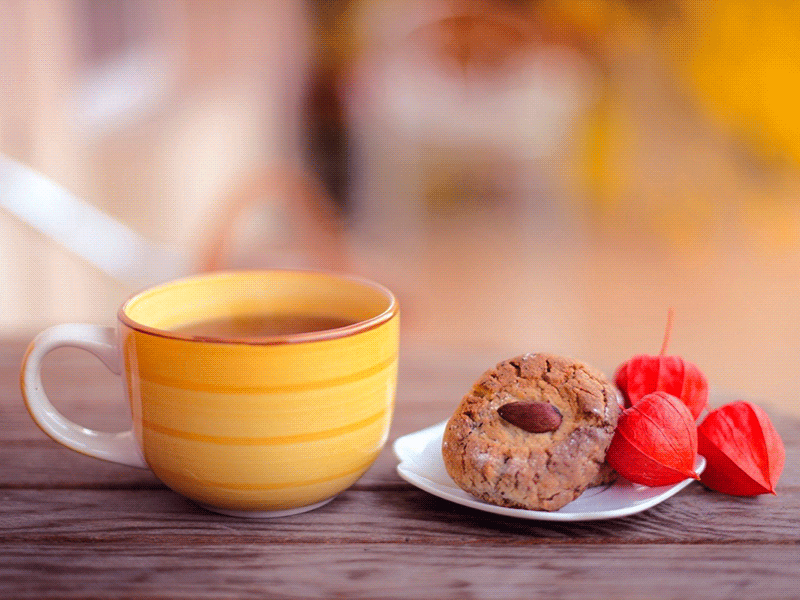 Tea + Biscuit Low Poly Study by JP Meneide on Dribbble