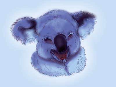 Koala 🐨 animal character character art character design cute illustration koala pretty procreate procreate art